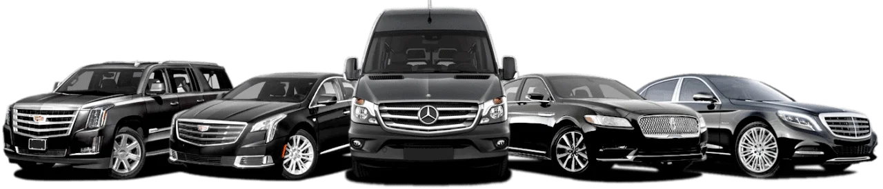 Santa-Rosa-luxury limo services - Transportation-Fleet Picture