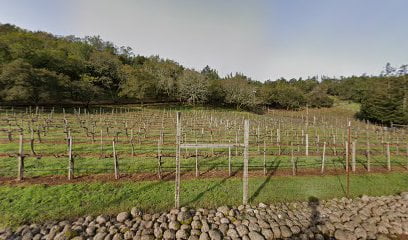 Favero-Vineyards