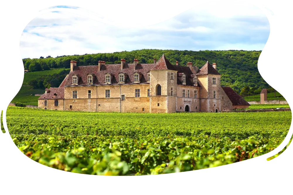 Sightseeing Tours Limousine vineyard-chateau